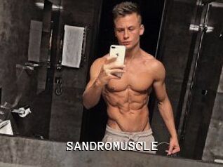 SANDRO_MUSCLE