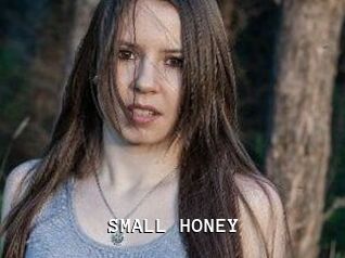 SMALL_HONEY