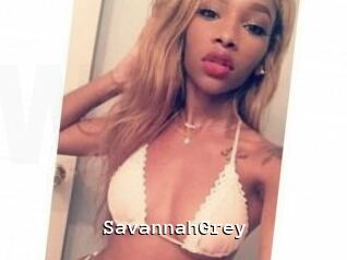 Savannah_Grey
