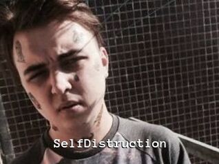 SelfDistruction