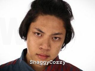 ShaggyCozzy