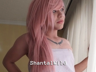 ShantalWild Webcamsex Amateur
