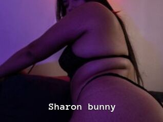 Sharon_bunny