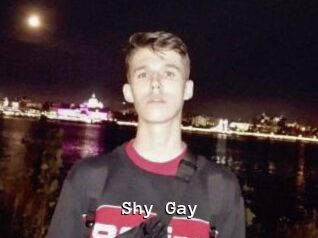 Shy_Gay