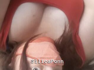 SilicaPonn