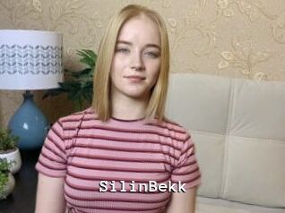 SilinBekk