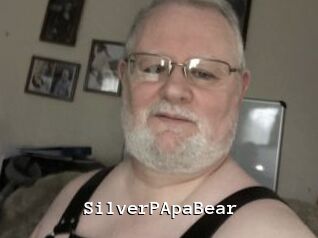 SilverPApaBear