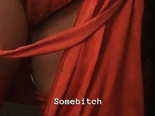 Somebitch