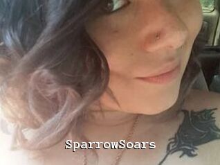 SparrowSoars