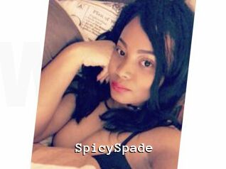 SpicySpade