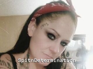 SpitnDetermination