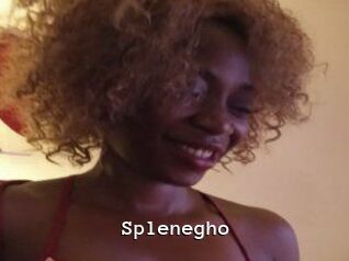 Splenegho