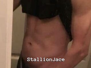 StallionJace