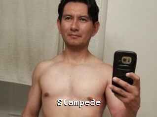 Stampede