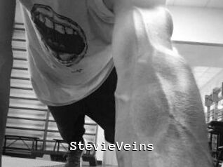 StevieVeins