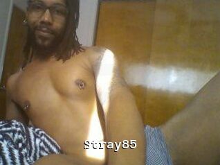 Stray85