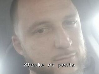Stroke_of_penis
