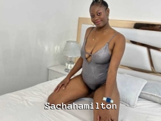 Sachahamilton