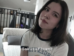 Sakuraflower