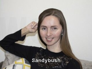 Sandybush
