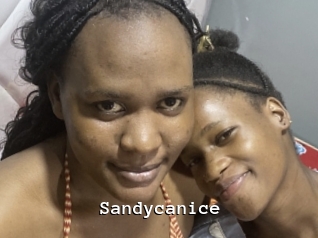 Sandycanice