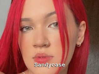 Sandycase