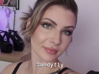 Sandyfly