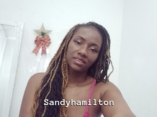 Sandyhamilton