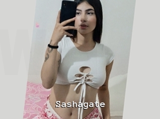 Sashagate