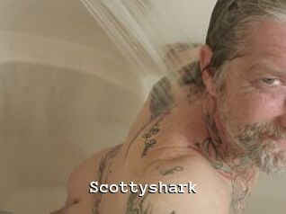 Scottyshark