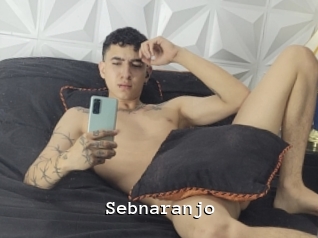 Sebnaranjo