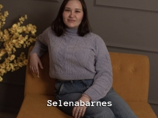 Selenabarnes