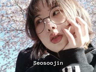 Seosoojin