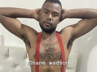 Shane_wadson