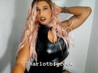 Sharlotbigcock