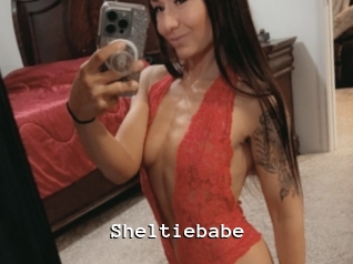 Sheltiebabe