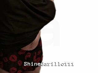 Shinedarillo111