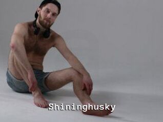 Shininghusky