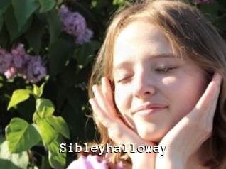 Sibleyhalloway