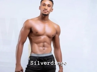 Silverdingo