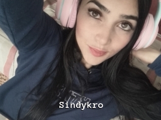 Sindykro