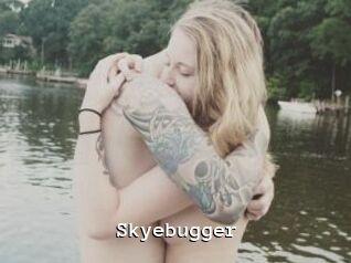 Skyebugger