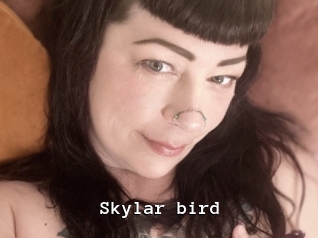 Skylar_bird