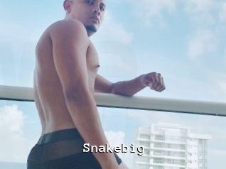 snakebig Webcamsex Amateur