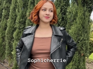 Sophicherrie