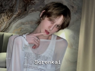 sorenkai Webcamsex Amateur