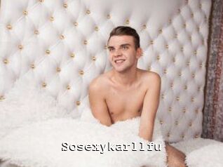 Sosexykarllfu