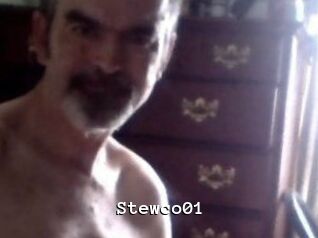 Stewco01
