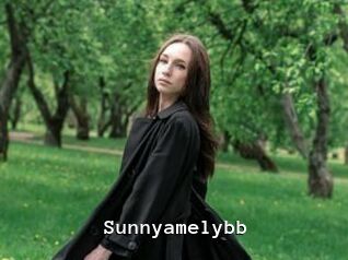 Sunnyamelybb