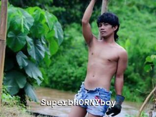 SuperbHORNYboy